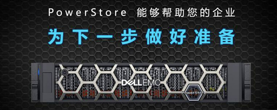 EMC 파워스토어 1000T 8*16GB FC 스토리지 솔루션 3PIC